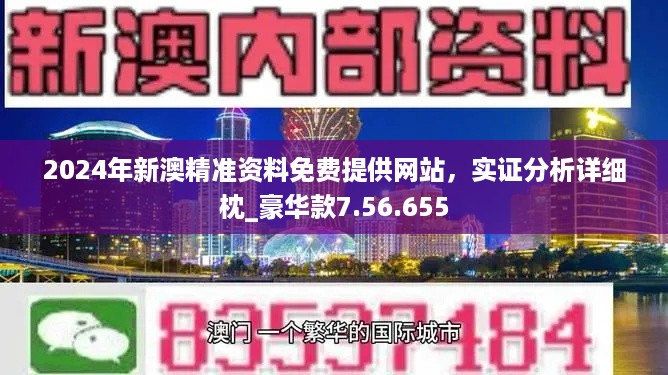 2025年澳门精准正版参考-精选解释解析落实