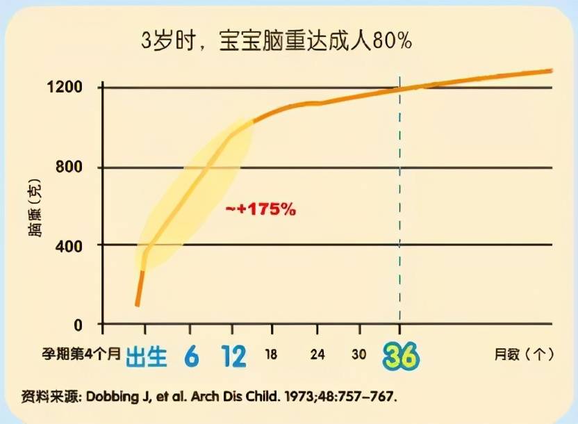 婴儿体重增长规律，每月增长多少？