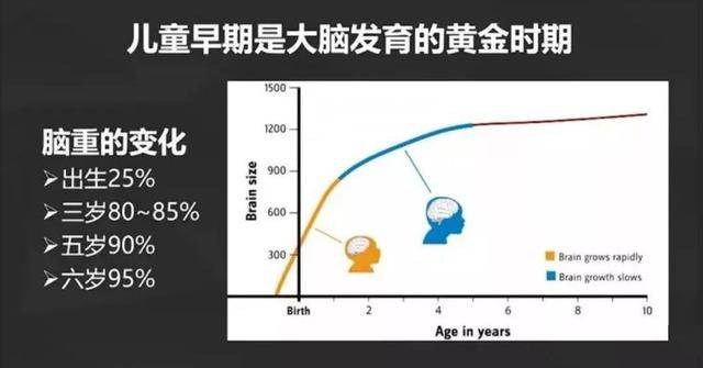 六个月宝宝大脑发育，成长的关键期与早期培养策略